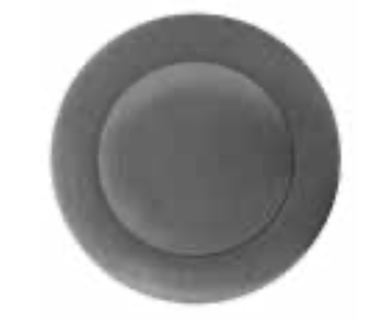 Parisi Blind Rosette Plate